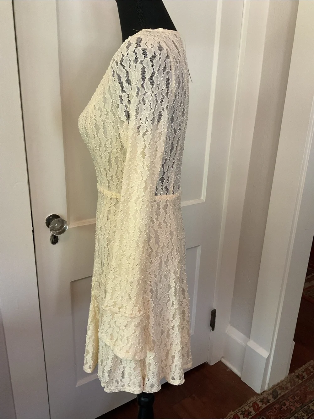 NWT Free People lace dress Shearling